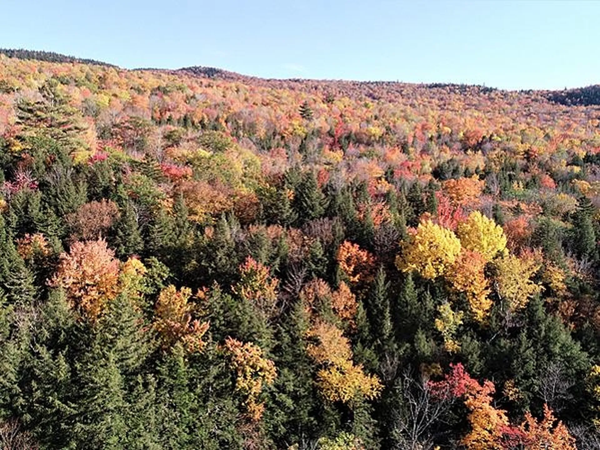 0 Eastern Corner Road Campton NH 03223