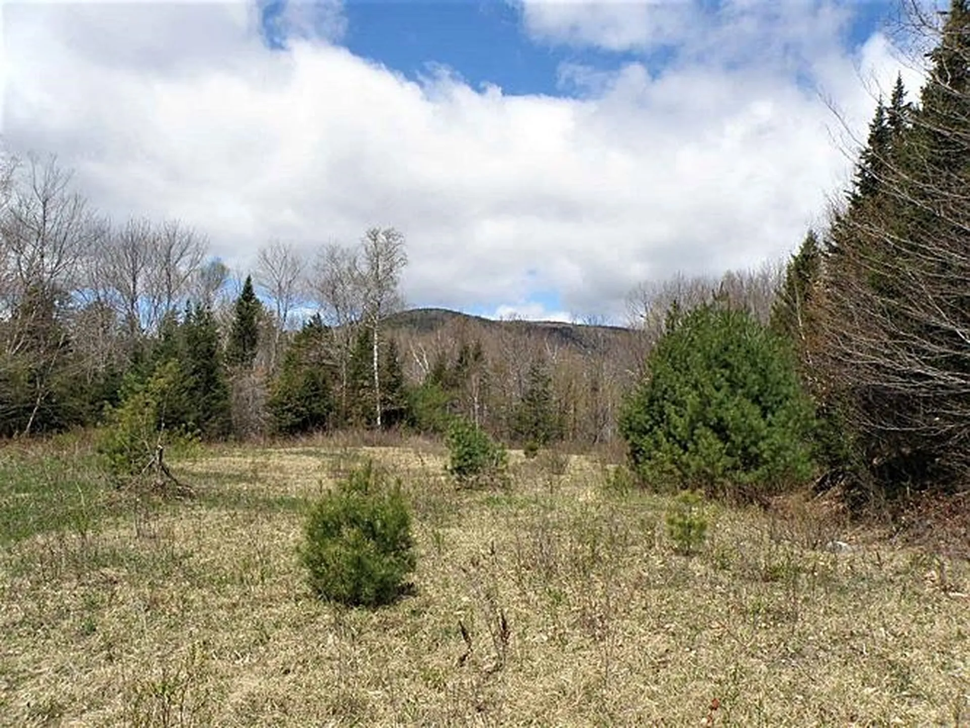 0 Eastern Corner Road Campton NH 03223