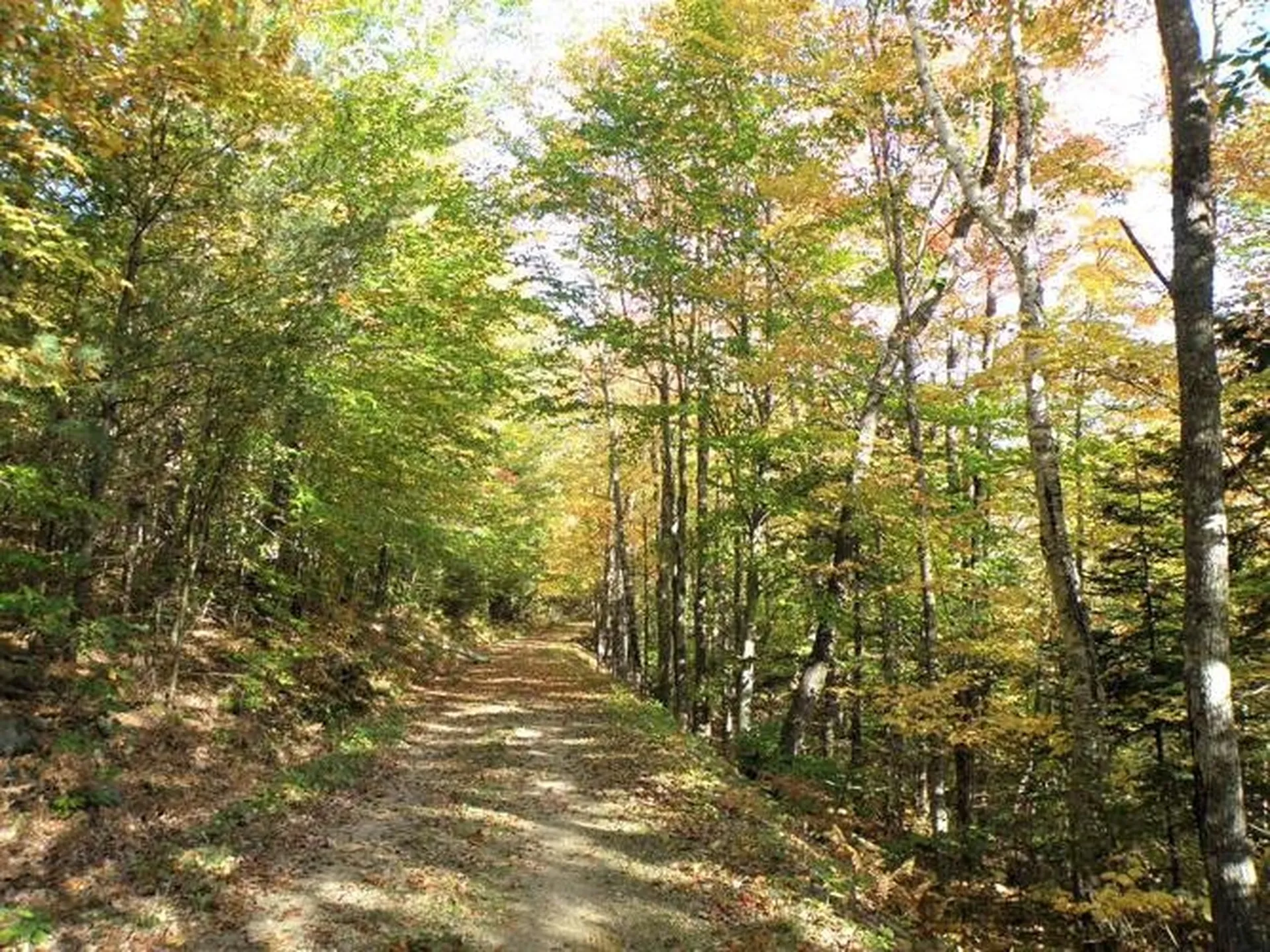 0 Eastern Corner Road Campton NH 03223