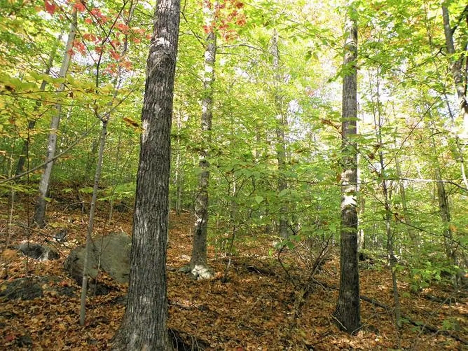 0 Eastern Corner Road Campton NH 03223