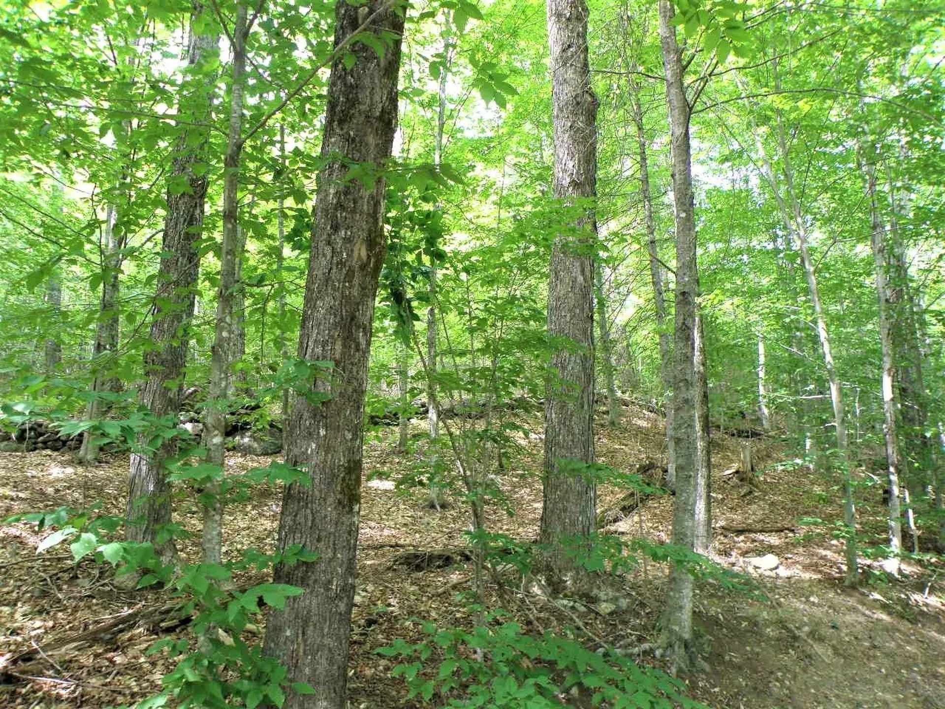 0 Eastern Corner Road Campton NH 03223