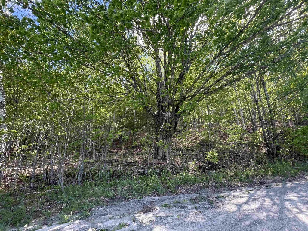 9 Crosby Road Topsham VT 05076
