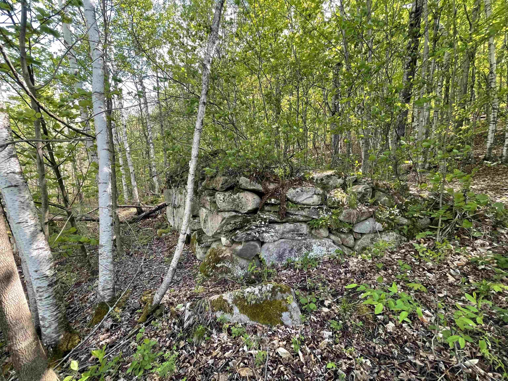 9 Crosby Road Topsham VT 05076