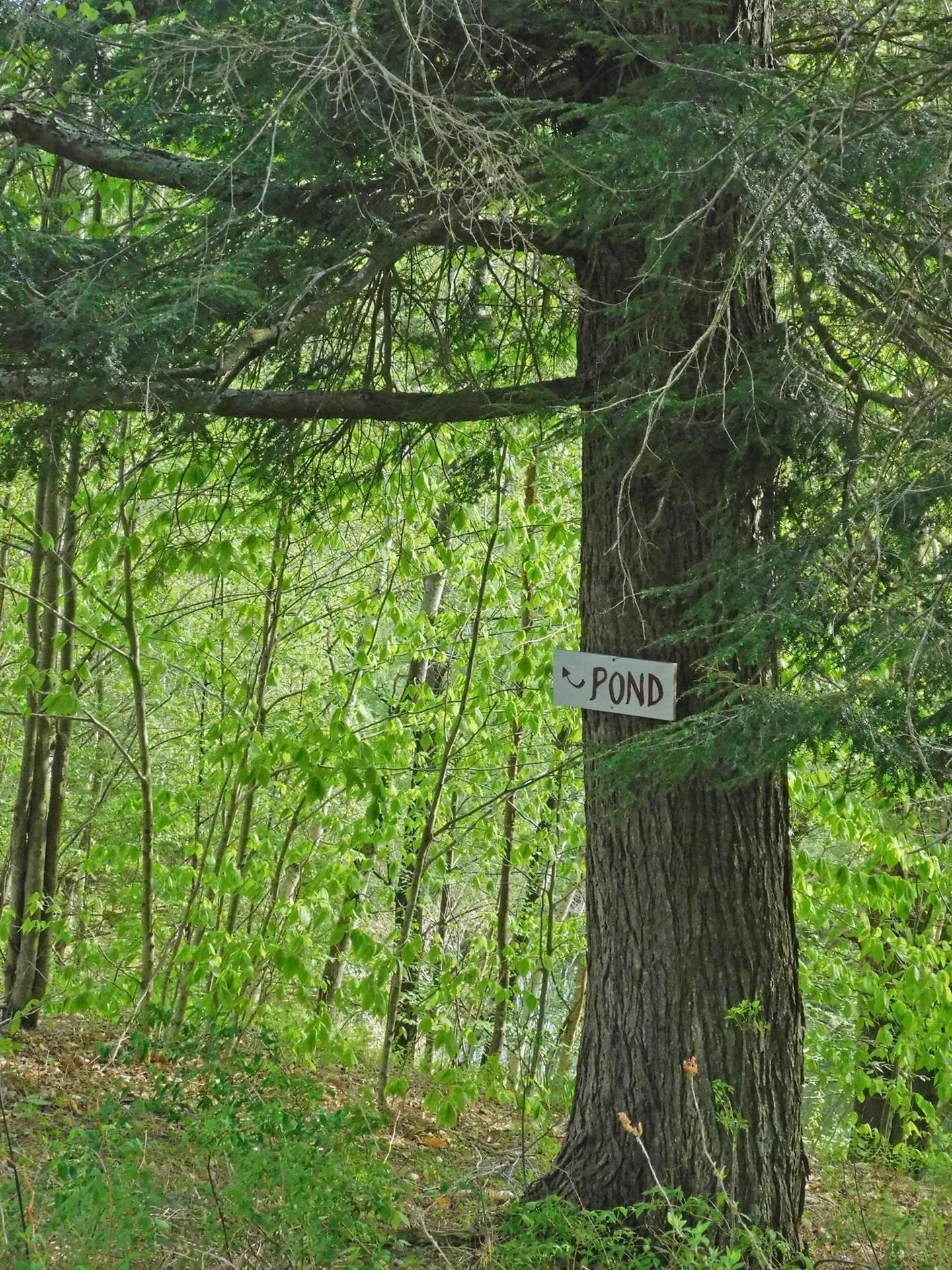 359 Old Center Fayston Road Fayston VT 05673