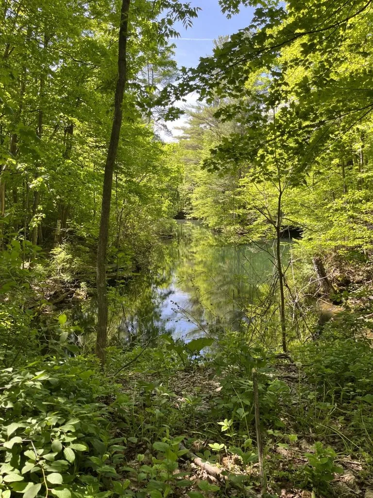 705 Route 30 Dorset VT 05251