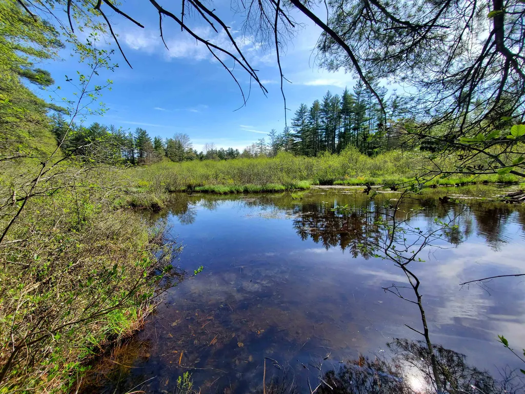 Rabbit Hollow Road Swanzey NH 03446