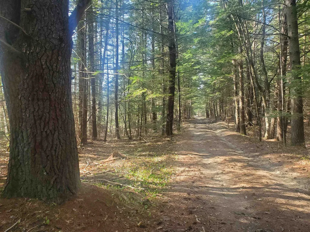 Rabbit Hollow Road Swanzey NH 03446