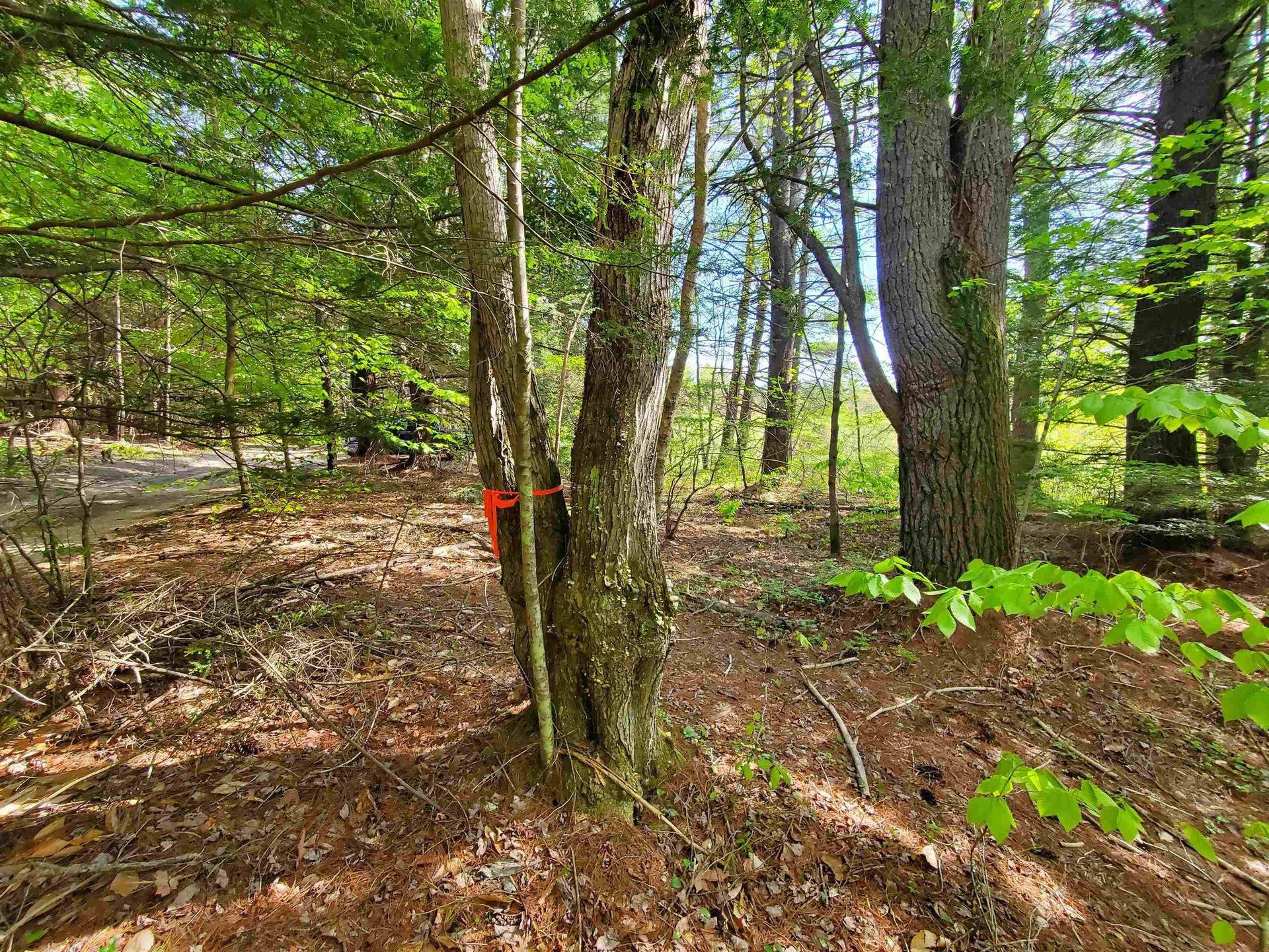 Rabbit Hollow Road Swanzey NH 03446