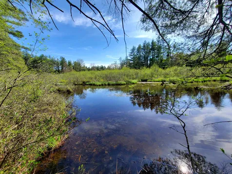 Rabbit Hollow Road Swanzey NH 03446