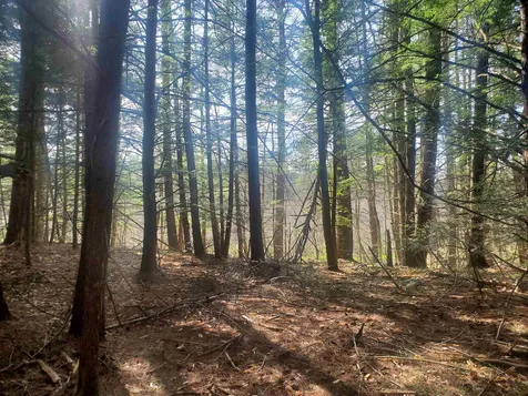 Rabbit Hollow Road Swanzey NH 03446