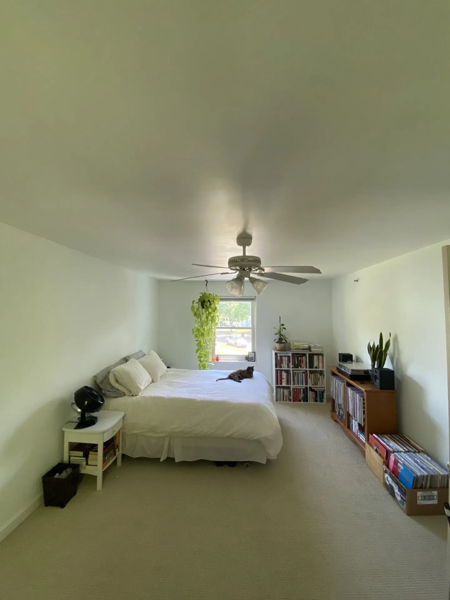 18 Arthur Court Burlington VT 05401