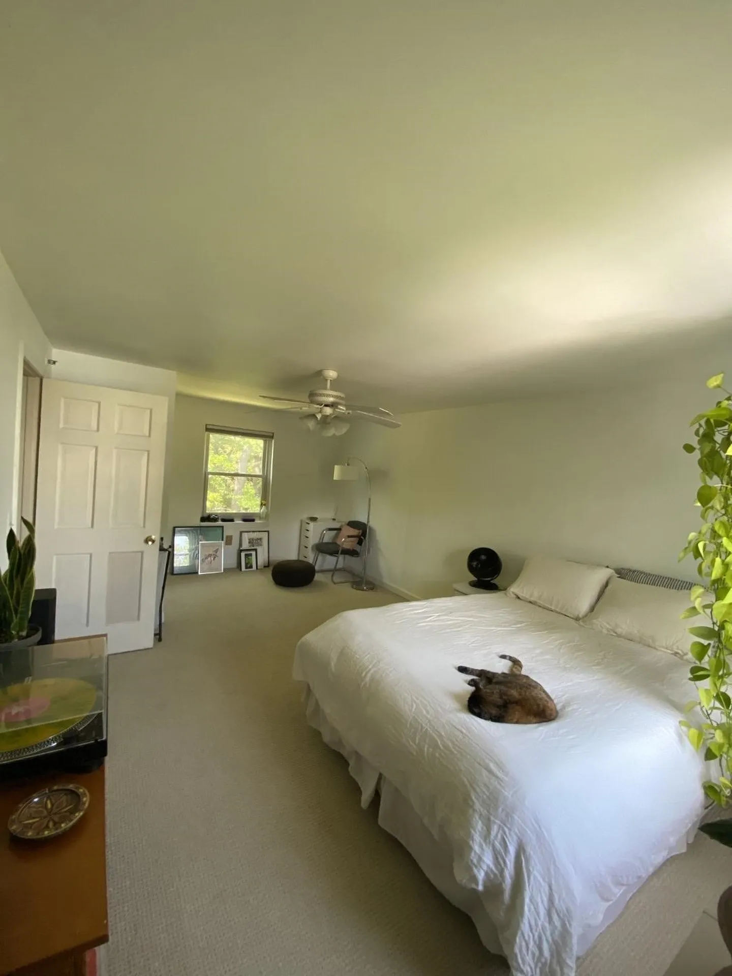 18 Arthur Court Burlington VT 05401