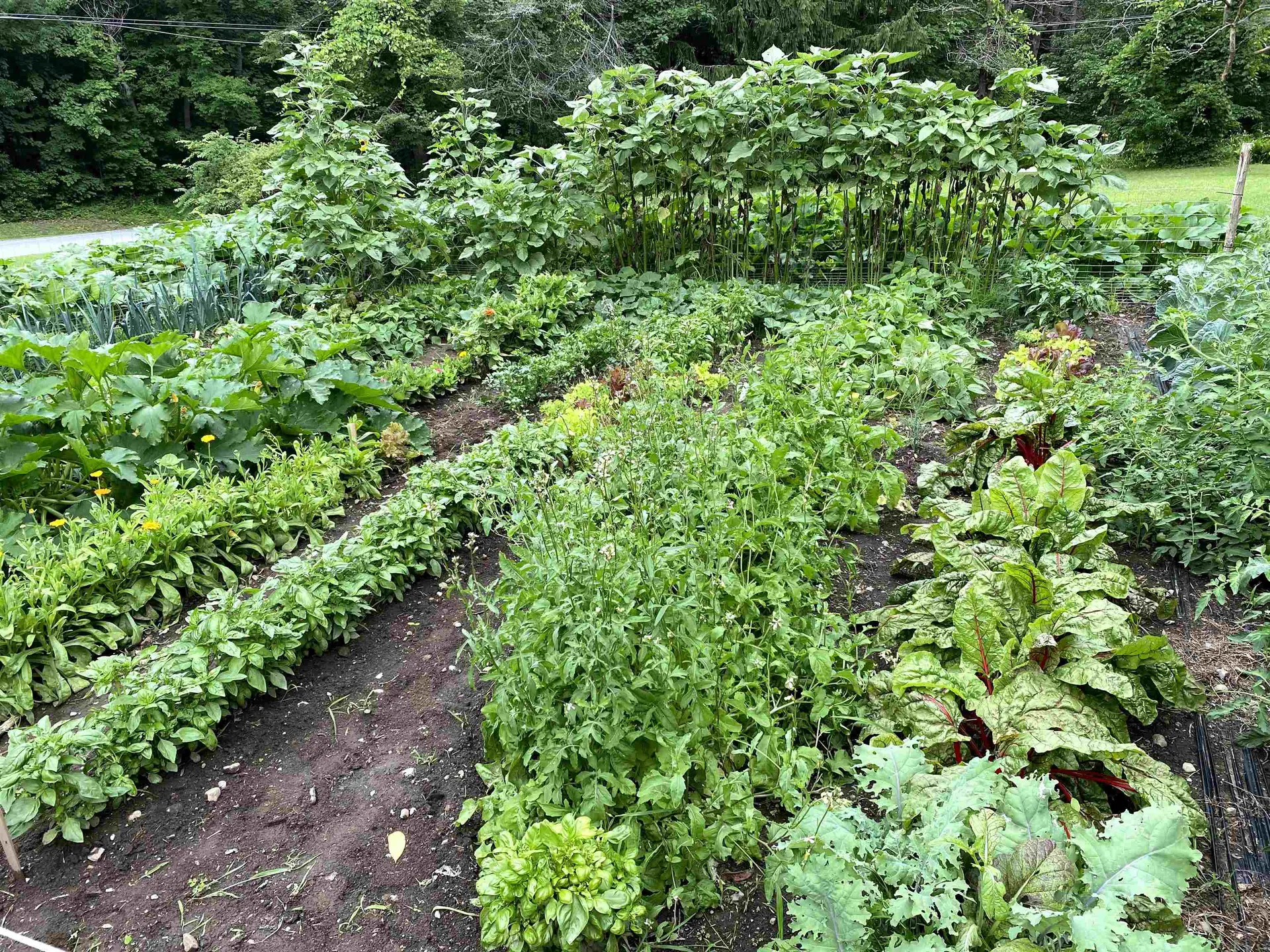 363 Lower Notch Road Bristol VT 05443