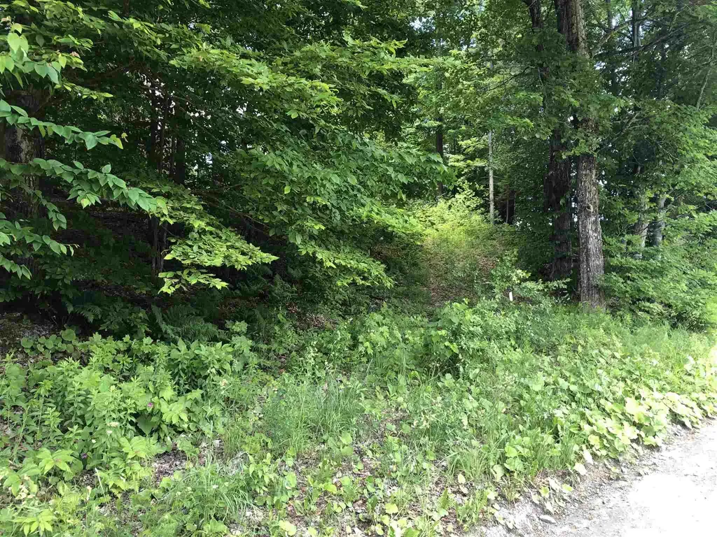 2114 Vt Route 12 Barnard VT 05031