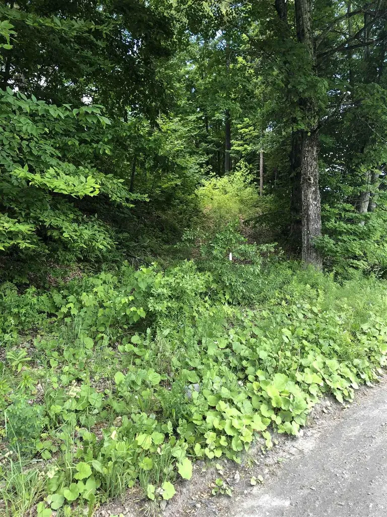 2114 Vt Route 12 Barnard VT 05031