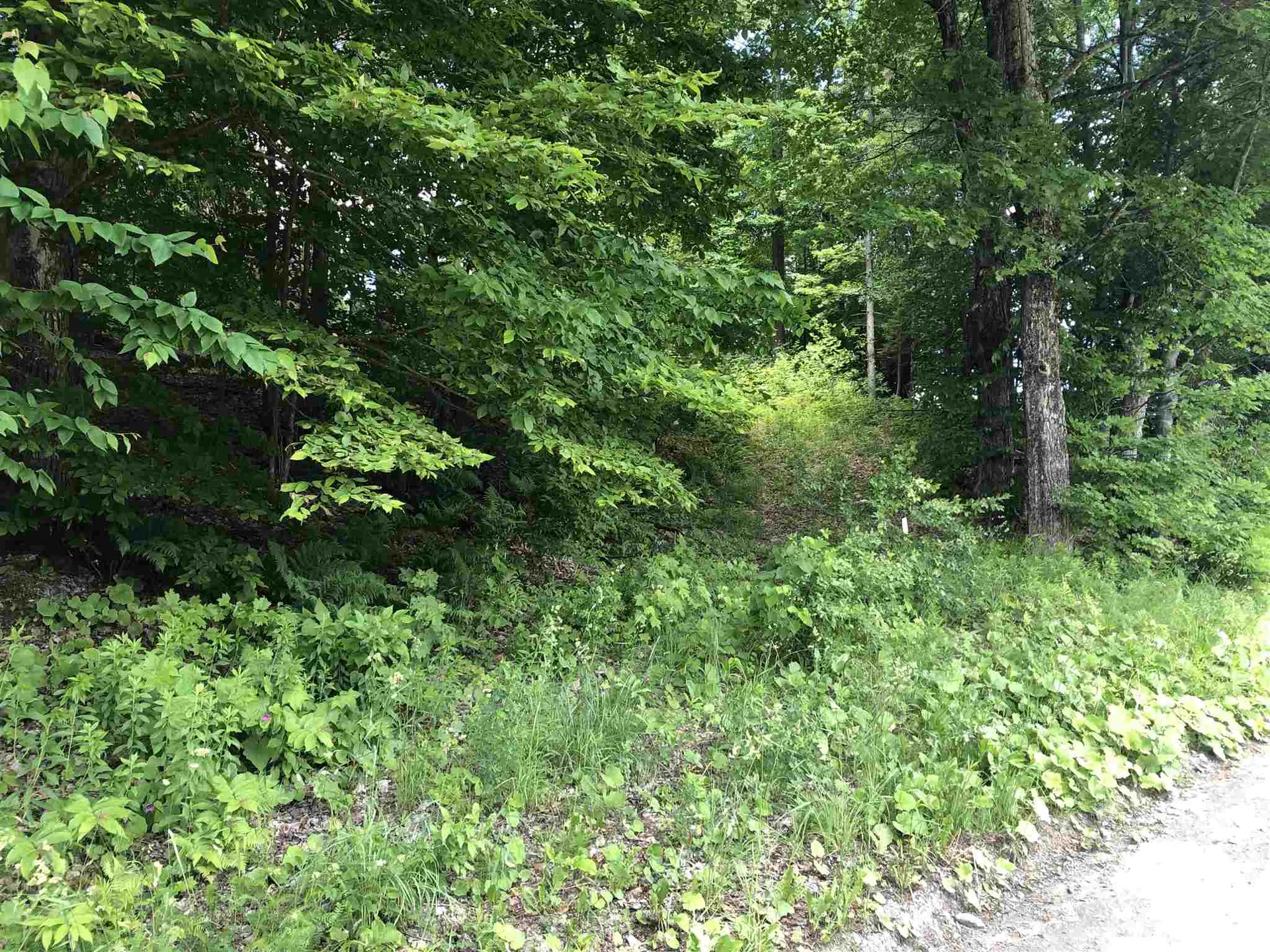 2114 Vt Route 12 Barnard VT 05031