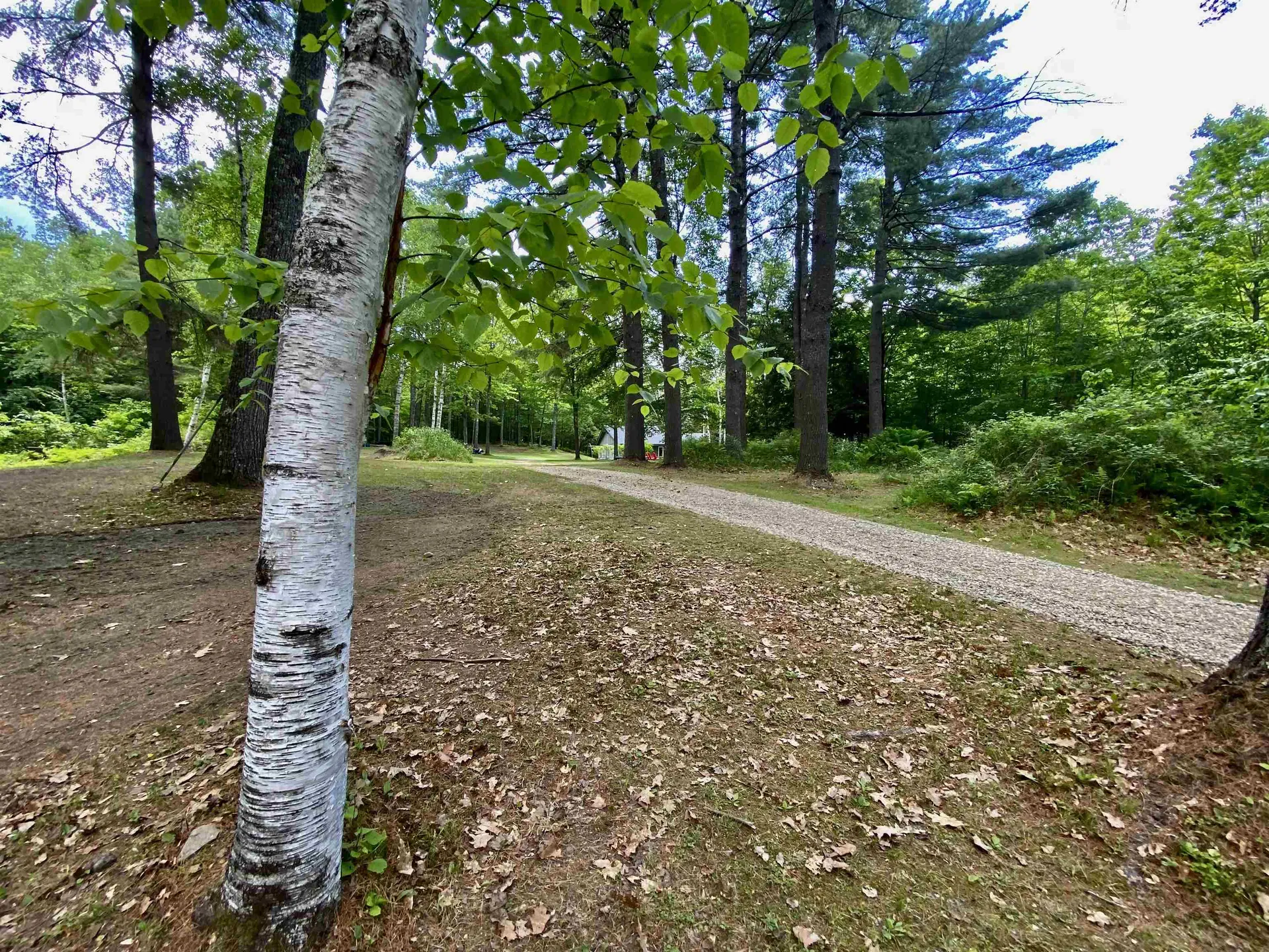 328 Norford Lake Road Norwich VT 05055
