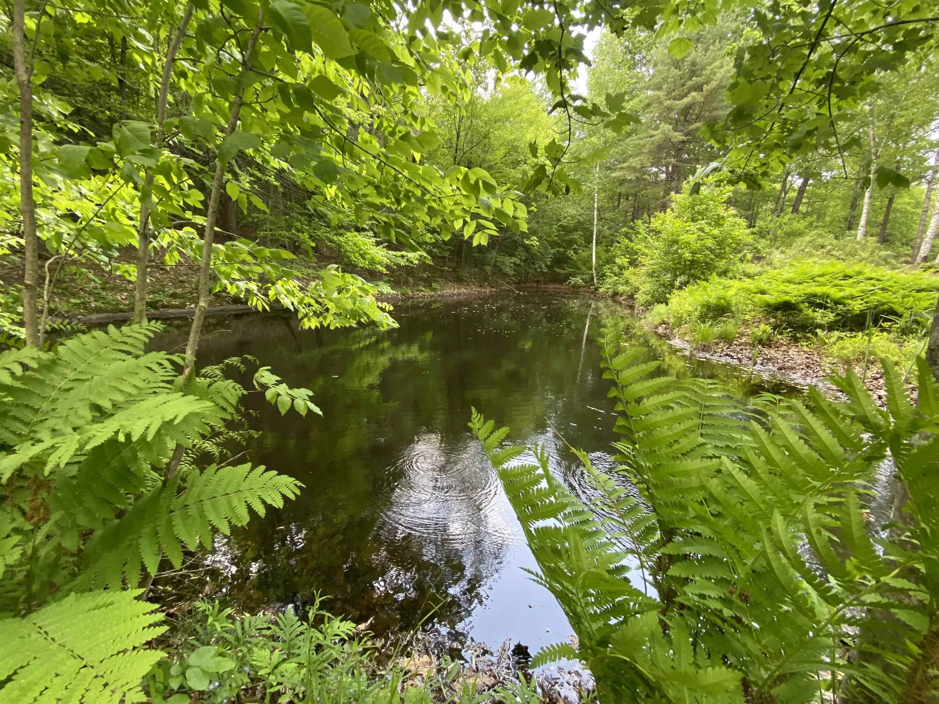 328 Norford Lake Road Norwich VT 05055