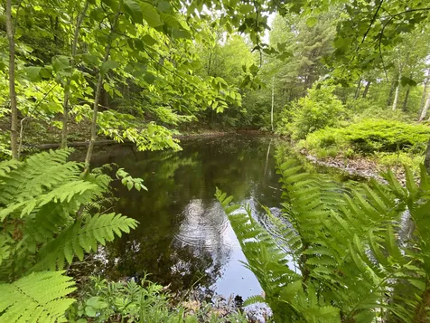 328 Norford Lake Road Norwich VT 05055