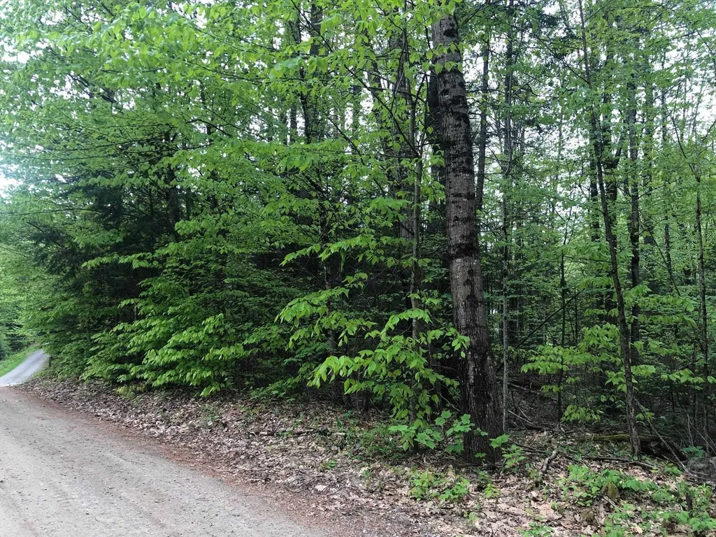 Dartmouth Road Haverhill NH 03785