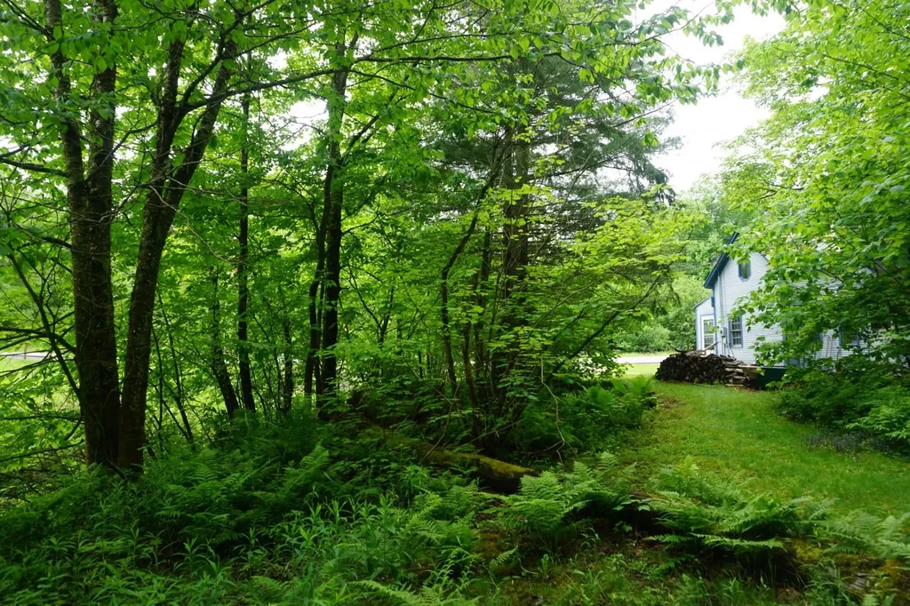 9562 Main Road Huntington VT 05462