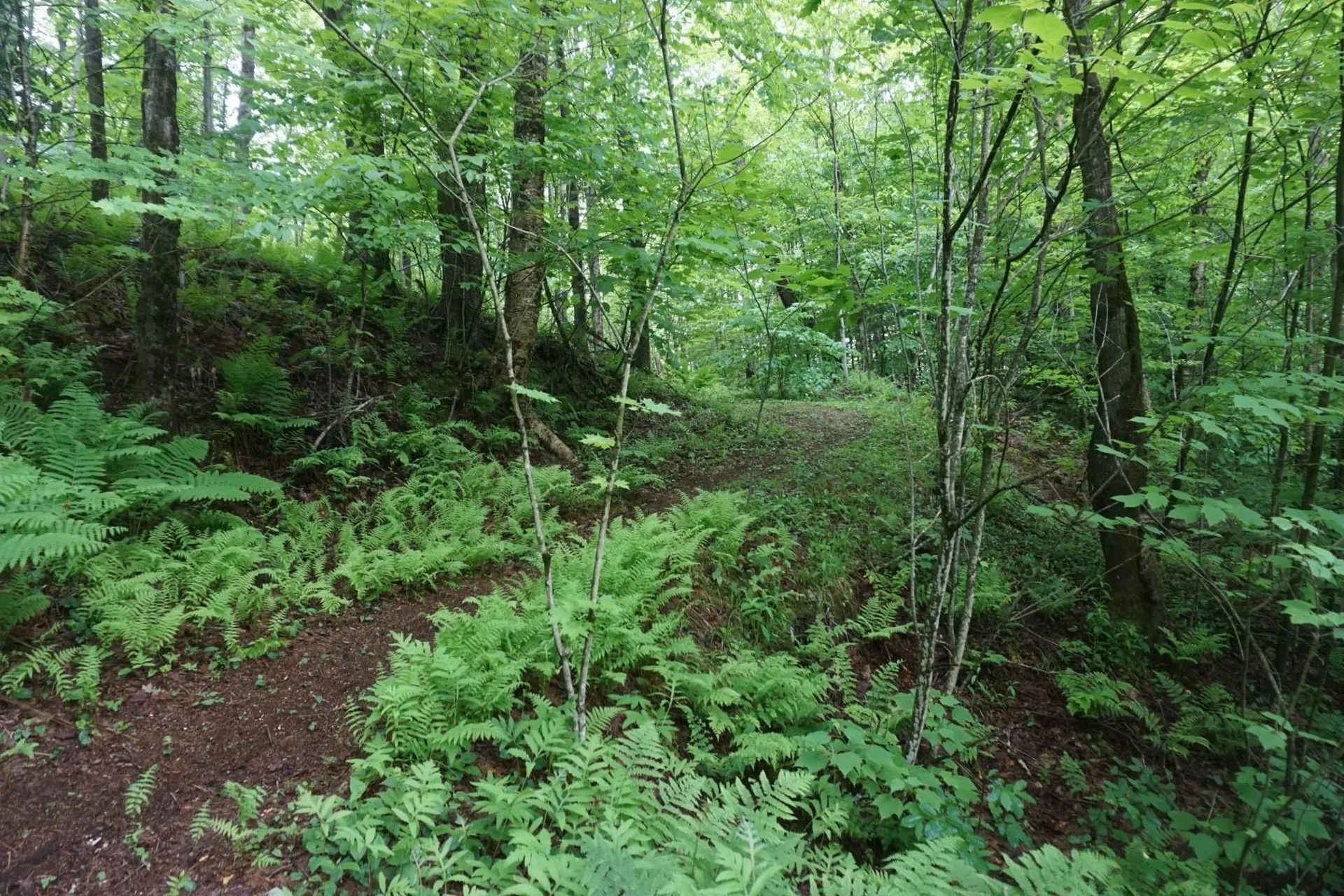 9562 Main Road Huntington VT 05462