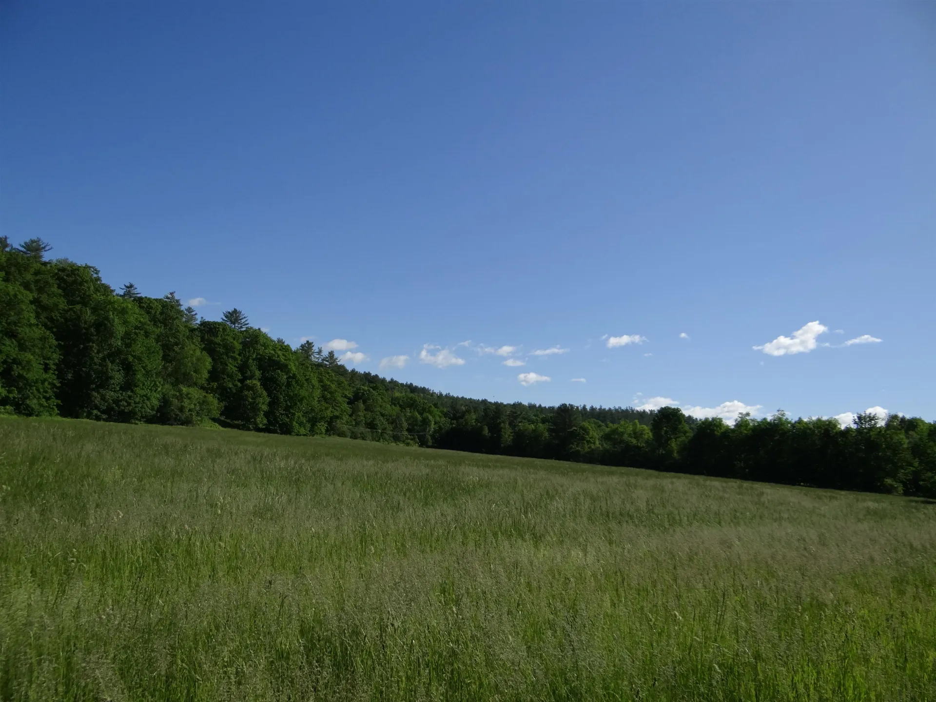 00 Route 25c Piermont NH 03779