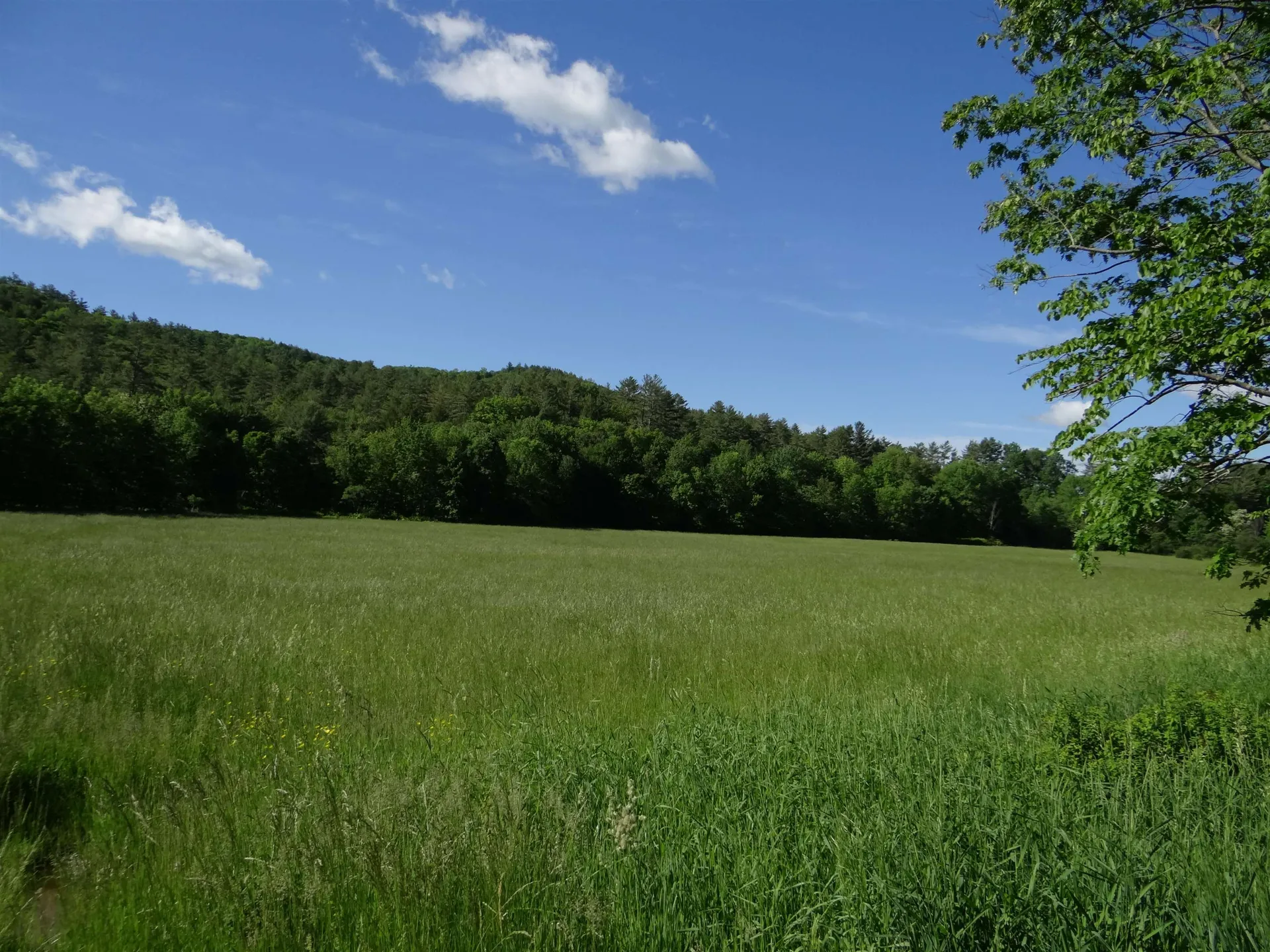 00 Route 25c Piermont NH 03779