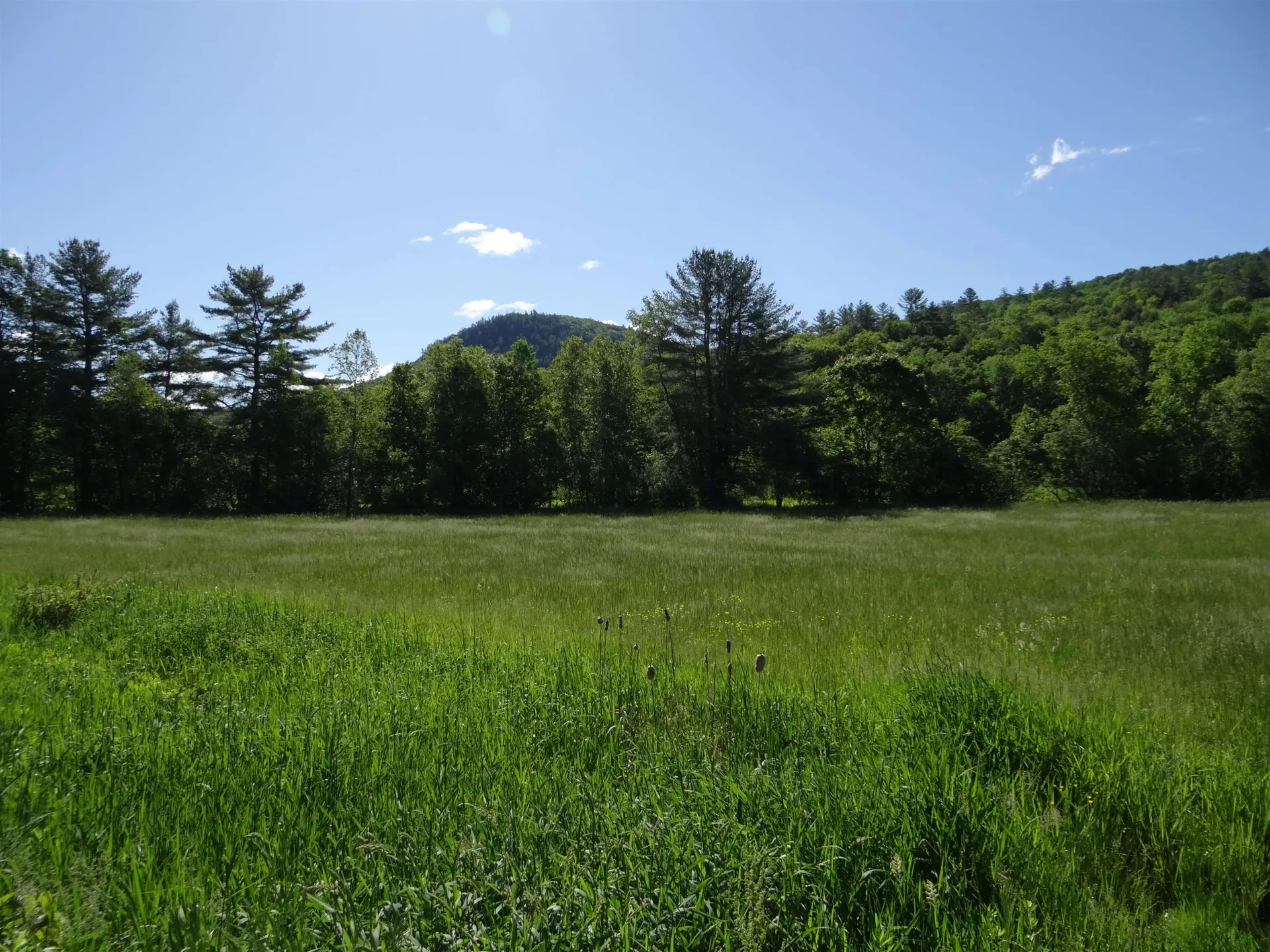 00 Route 25c Piermont NH 03779