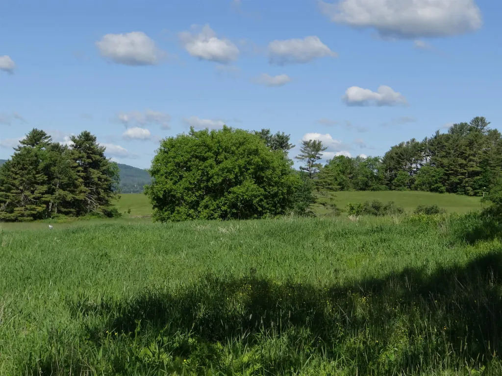 321 Route 10 Piermont NH 03779