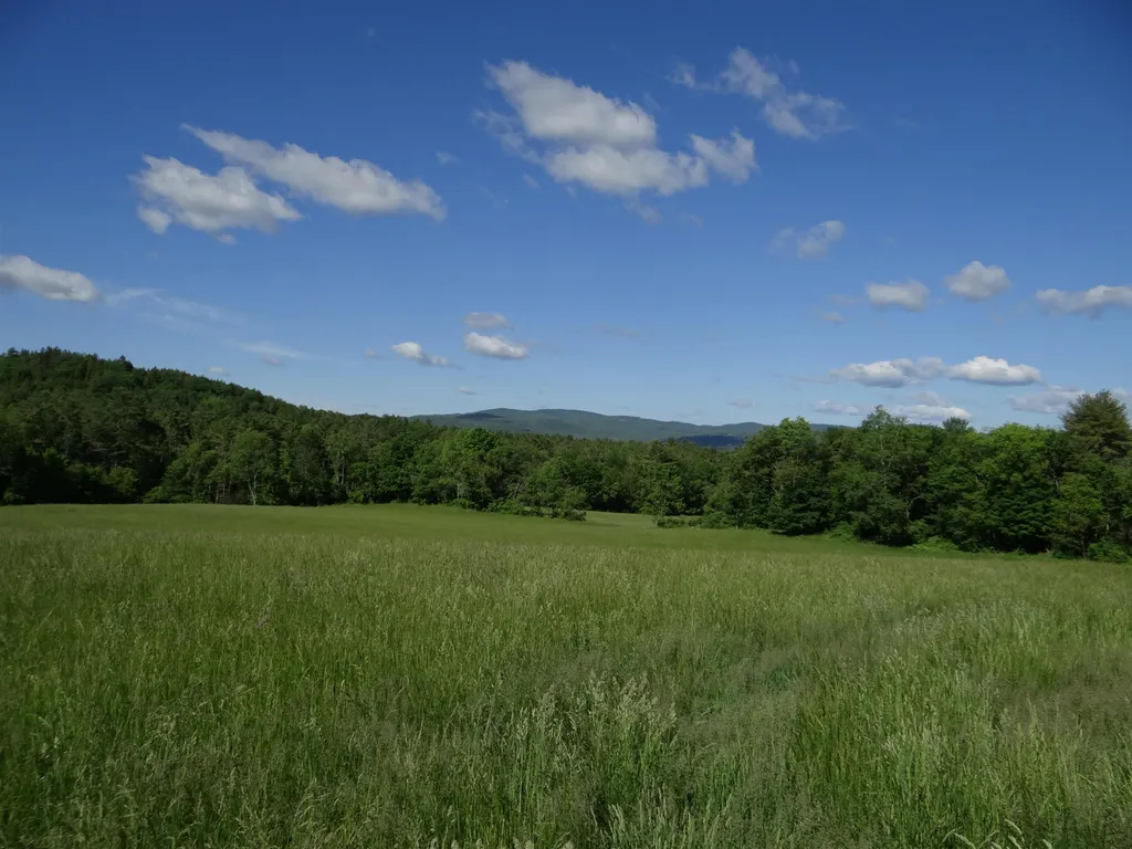 321 Route 10 Piermont NH 03779