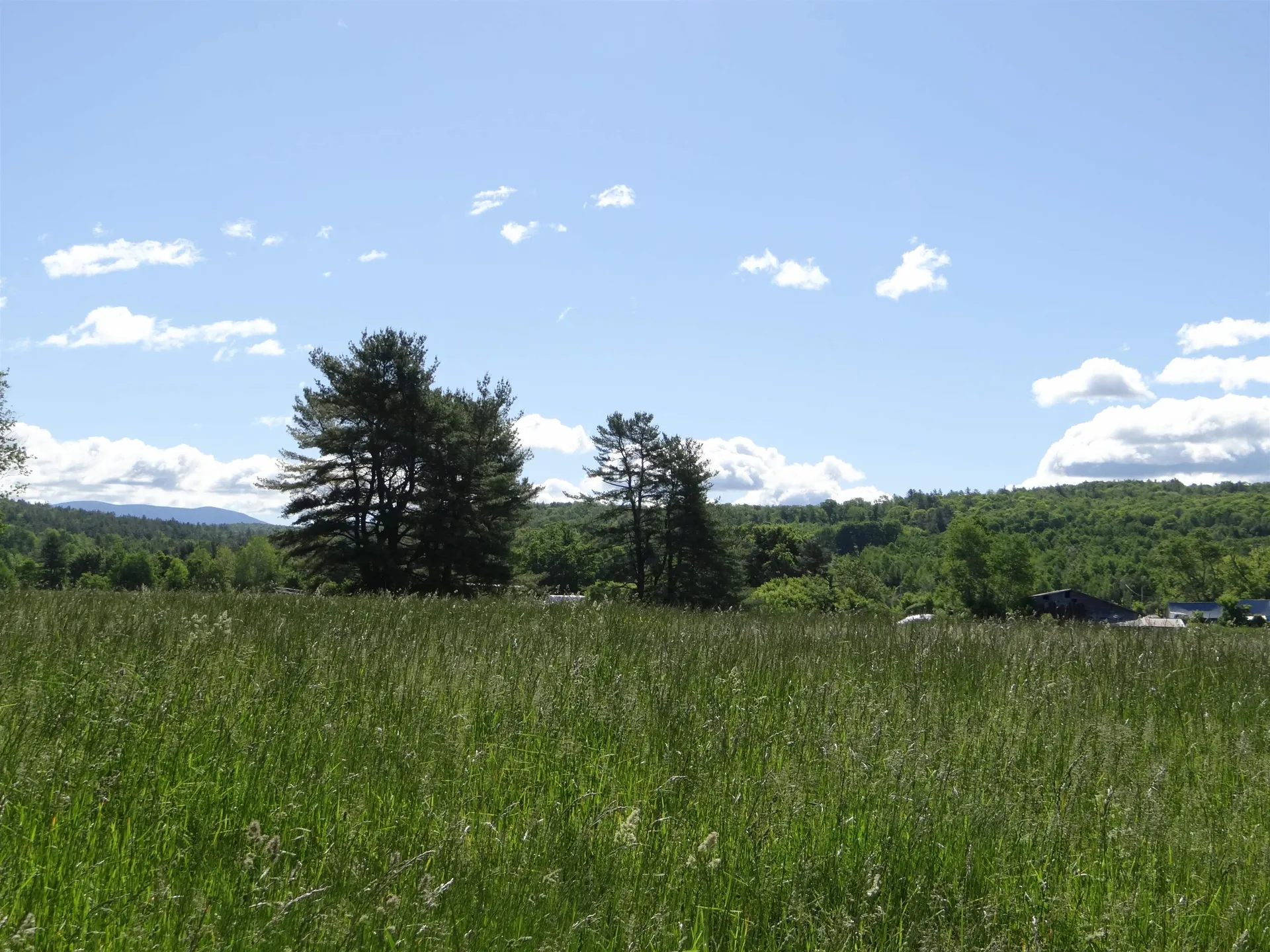 321 Route 10 Piermont NH 03779