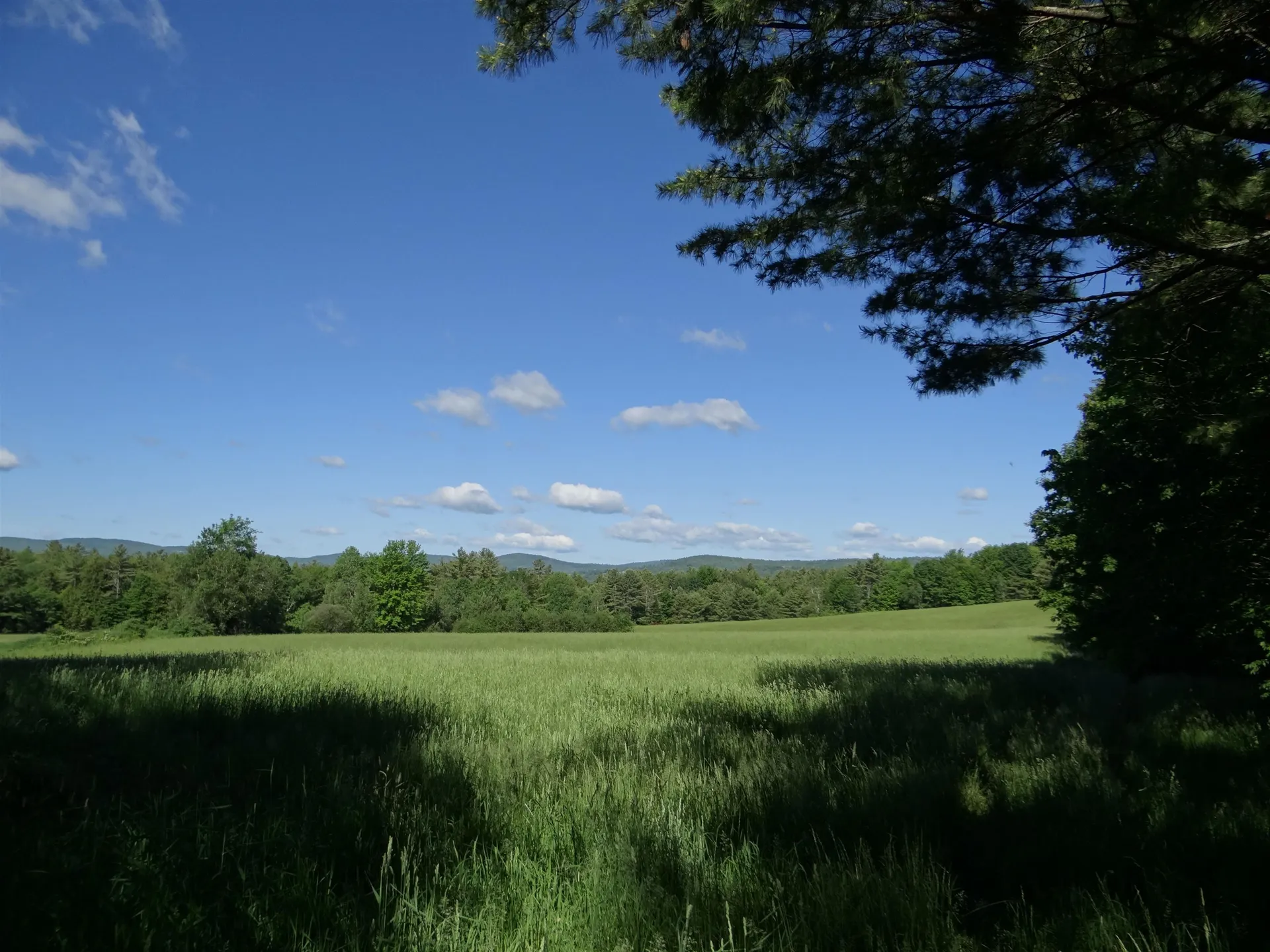 321 Route 10 Piermont NH 03779