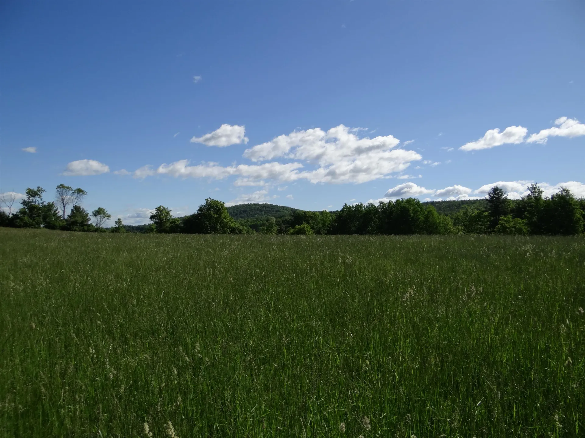 00 Route 10 Piermont NH 03779