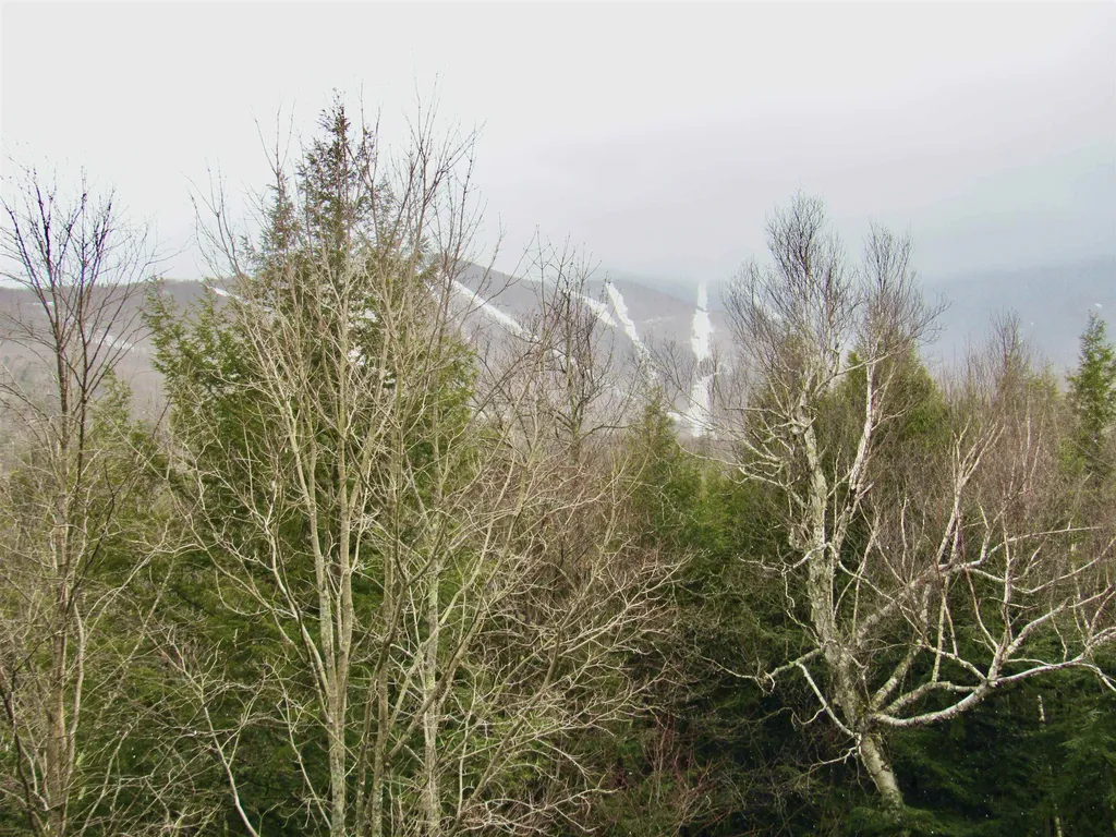 202 Bridges Circle Warren VT 05674