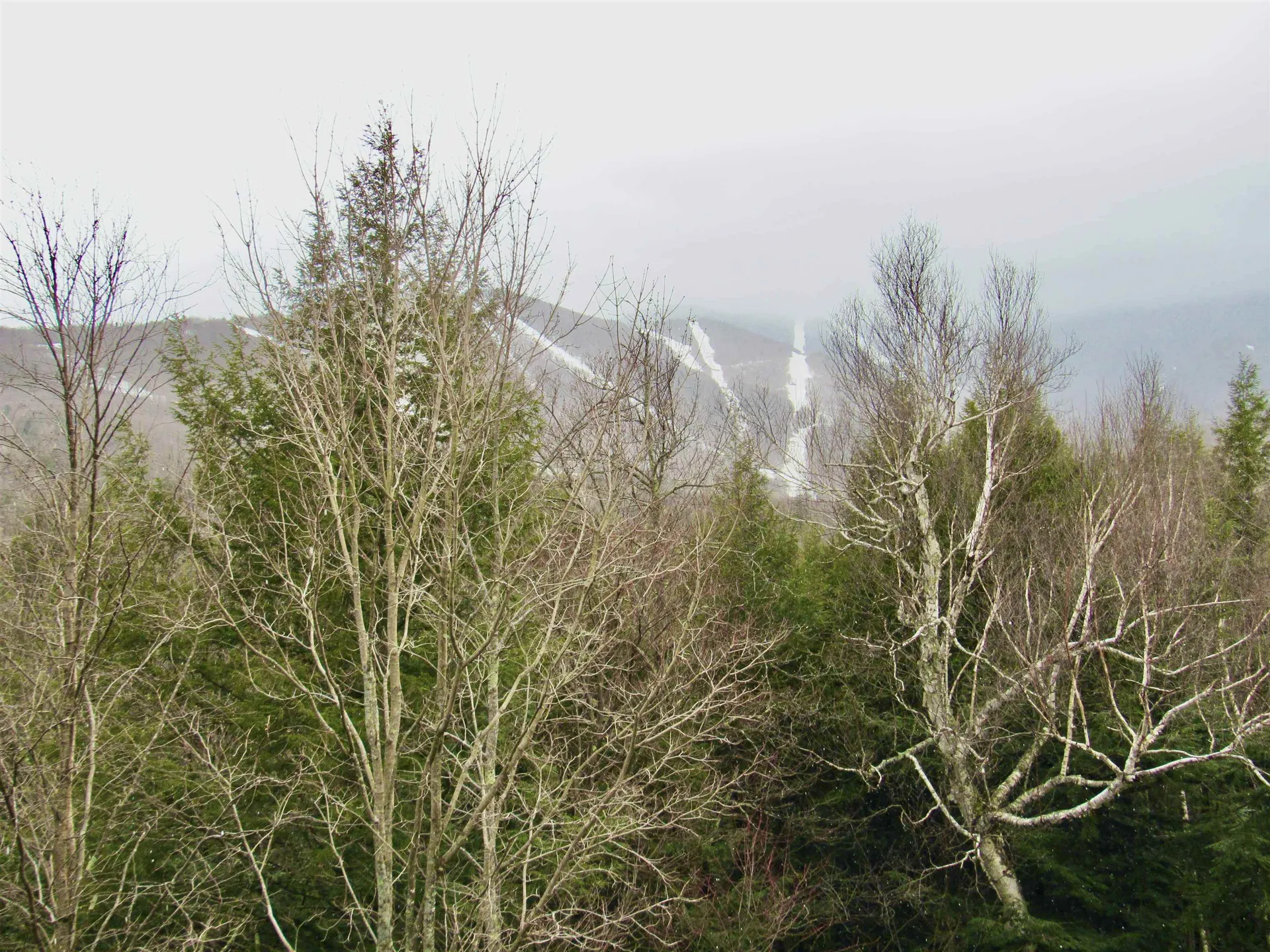 202 Bridges Circle Warren VT 05674