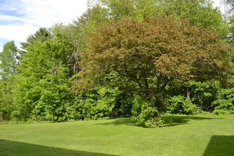 69 Crabapple Ridge Road Williamstown VT 05679