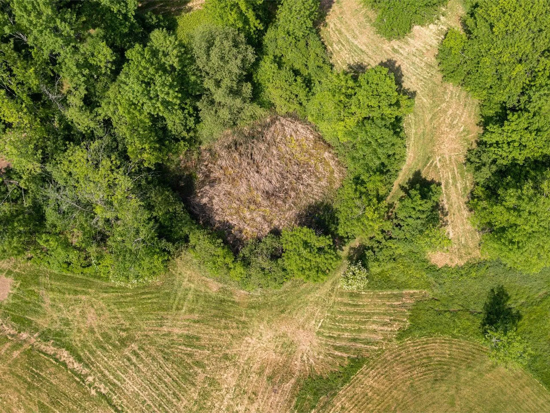 970 Church Hill Road Charlotte VT 05445
