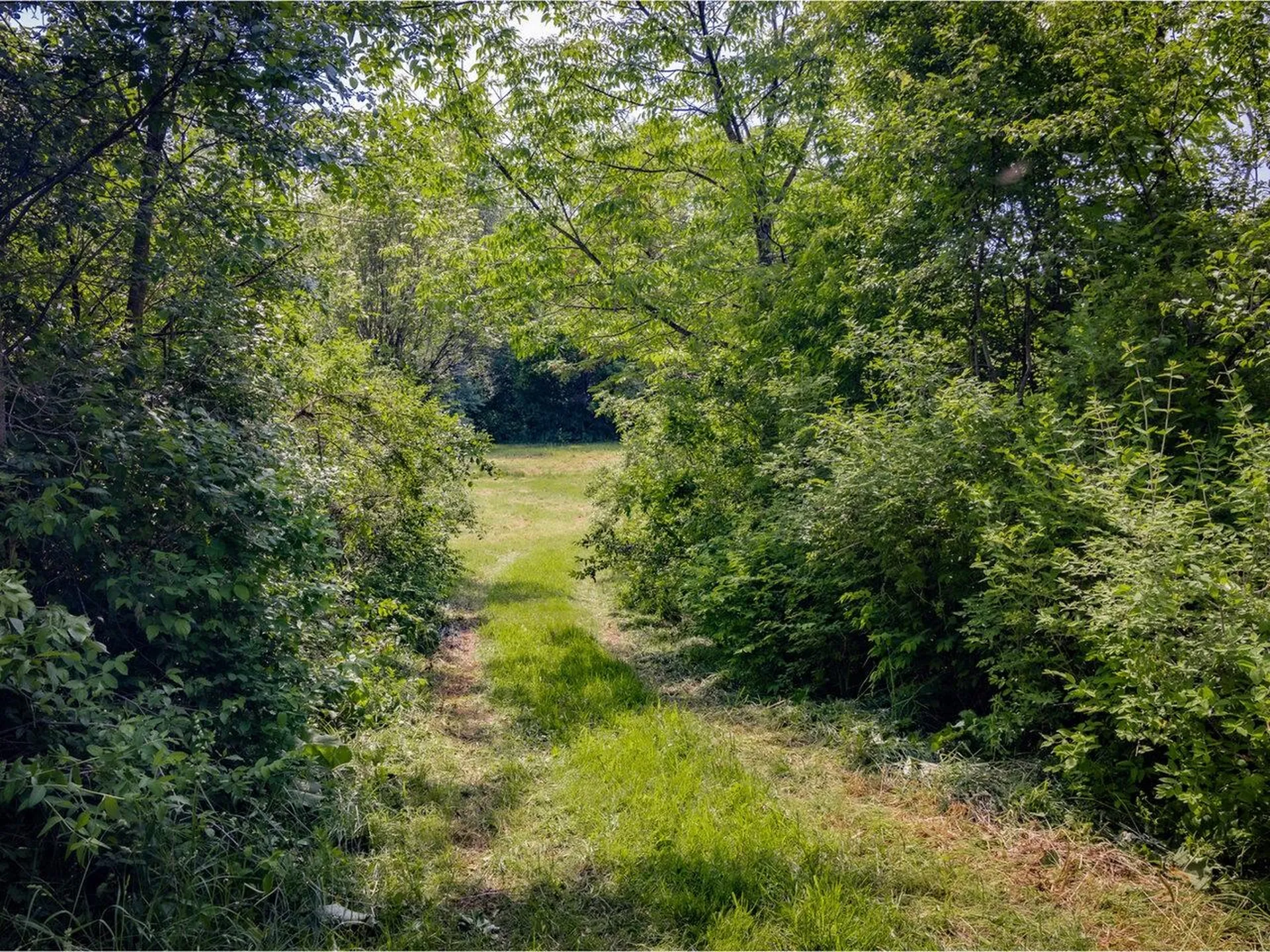 970 Church Hill Road Charlotte VT 05445
