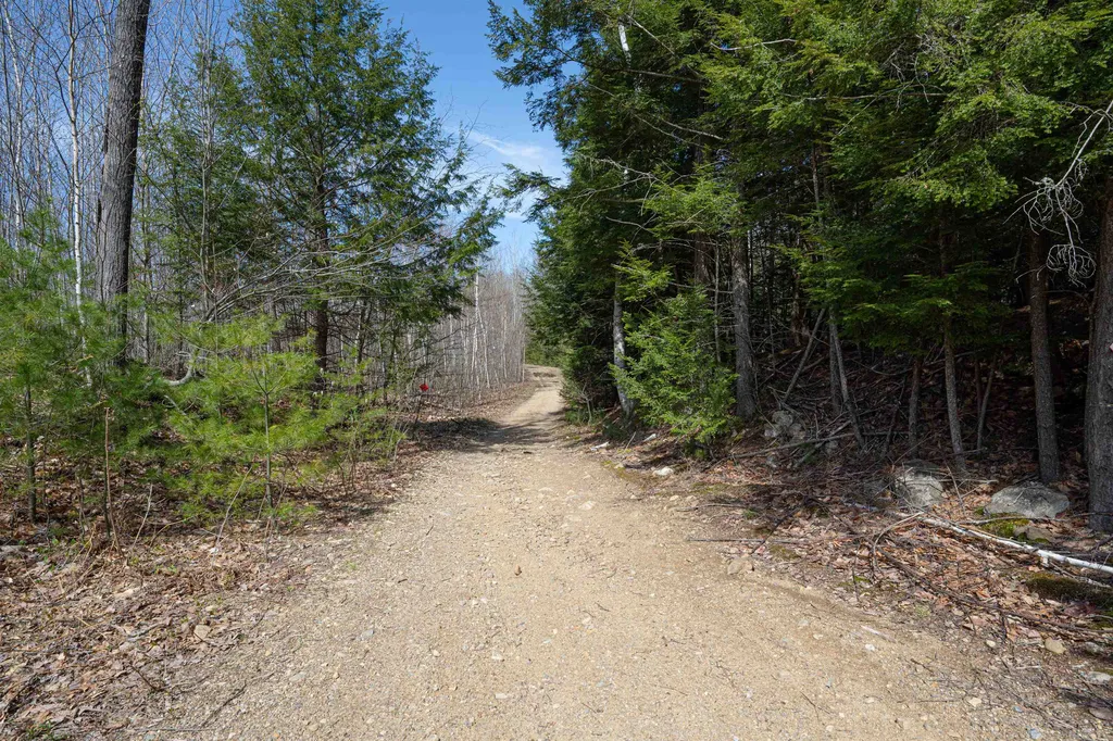 Lot 15 Canaan Road Gilmanton NH 03237