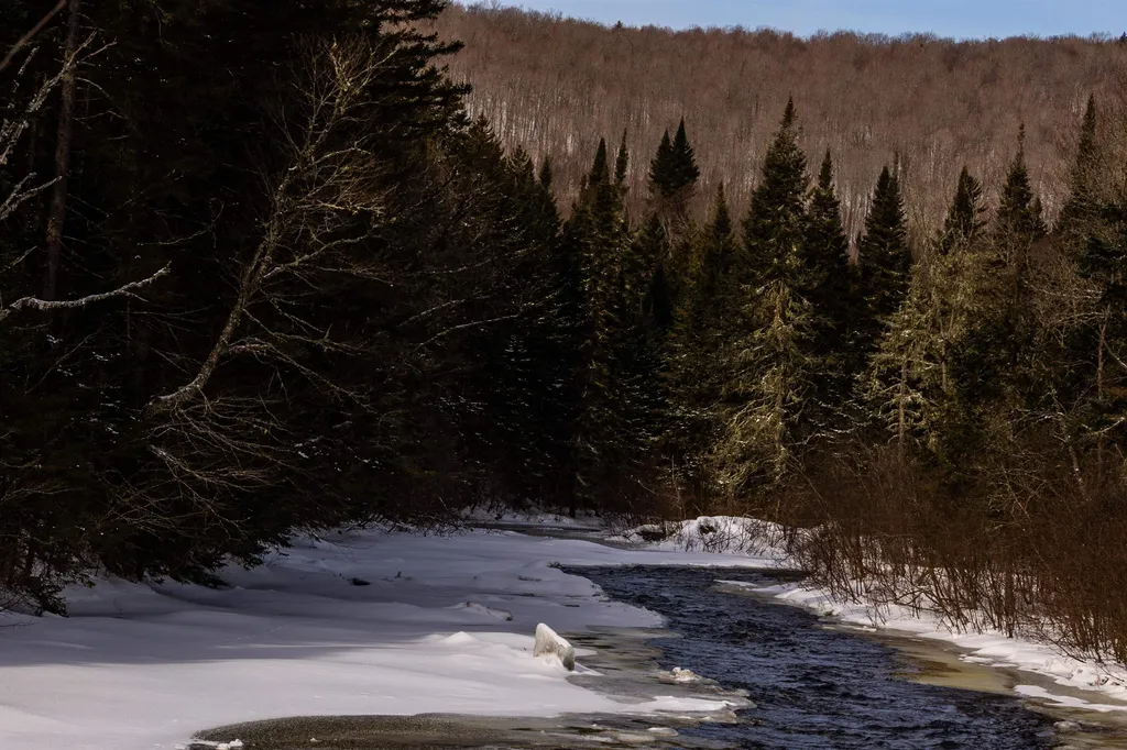 10 Farr Road Pittsburg NH 03592