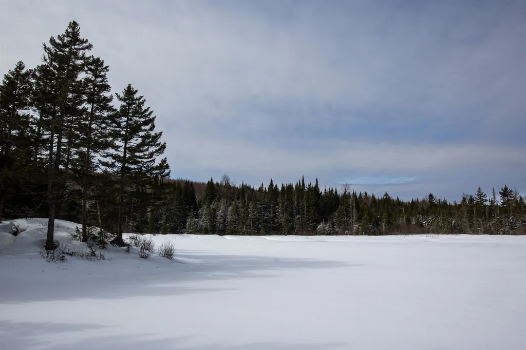 10 Farr Road Pittsburg NH 03592