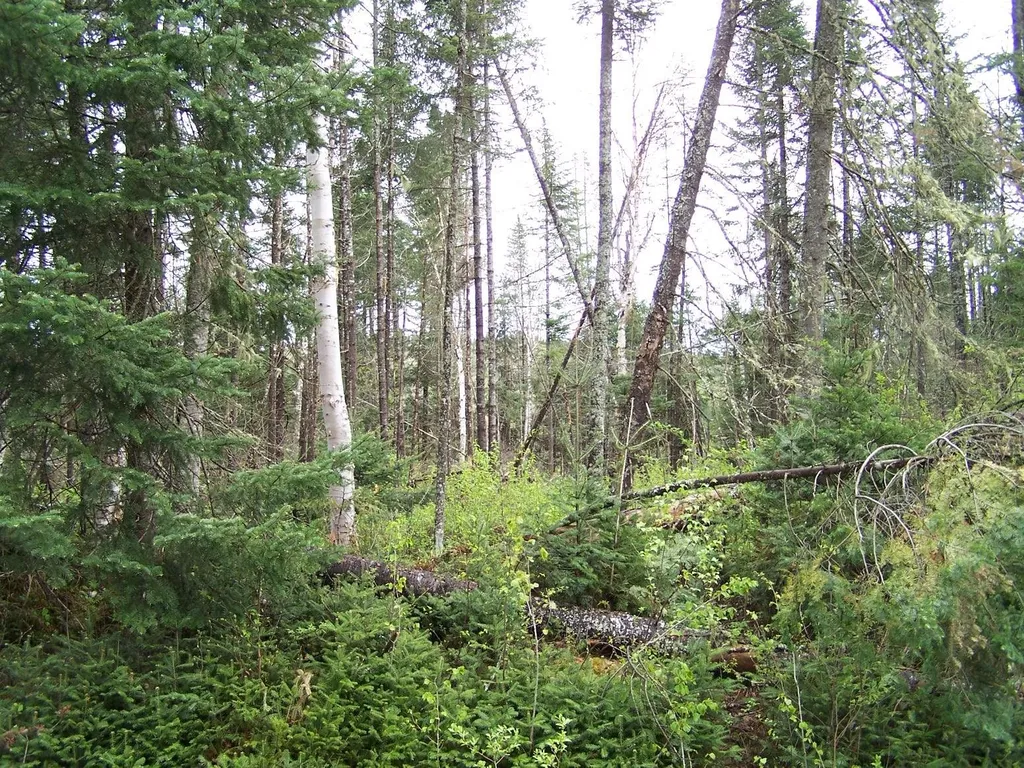10 Farr Road Pittsburg NH 03592
