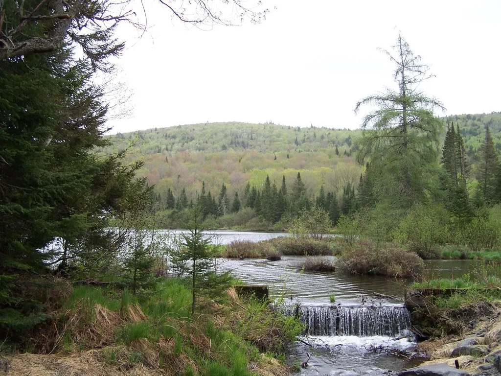 10 Farr Road Pittsburg NH 03592