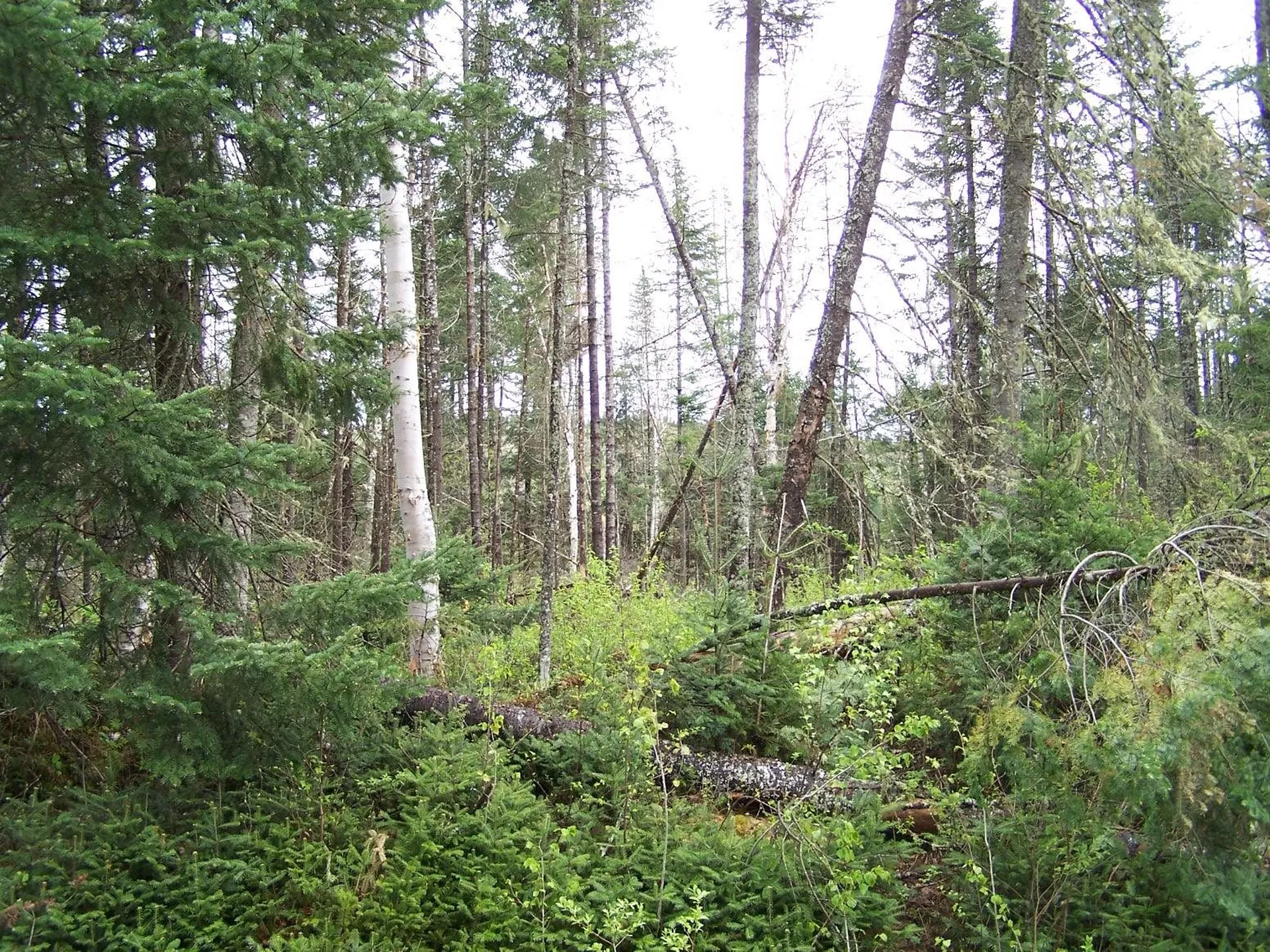 10 Farr Road Pittsburg NH 03592