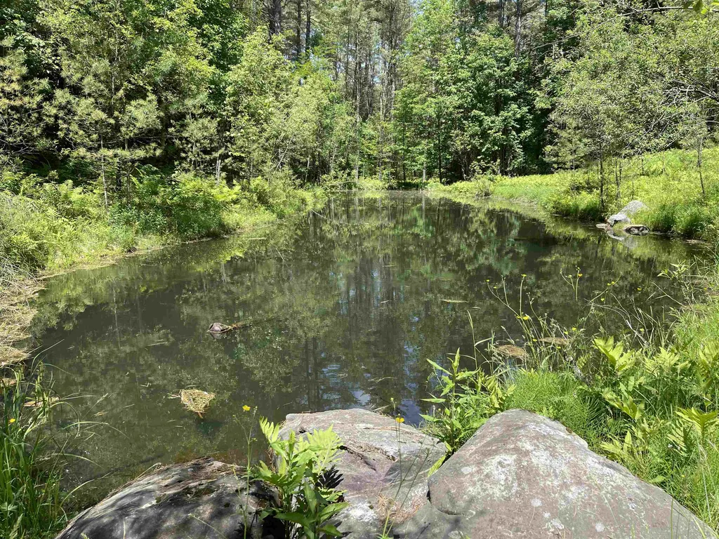 201 Strong Road Waitsfield VT 05673