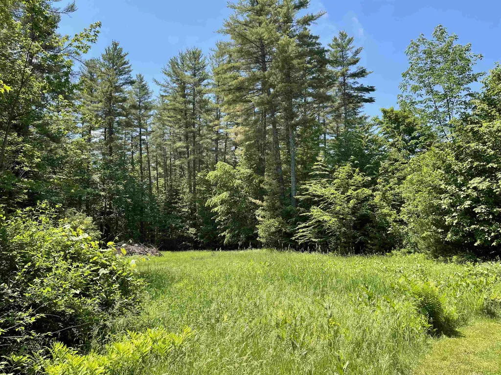 201 Strong Road Waitsfield VT 05673