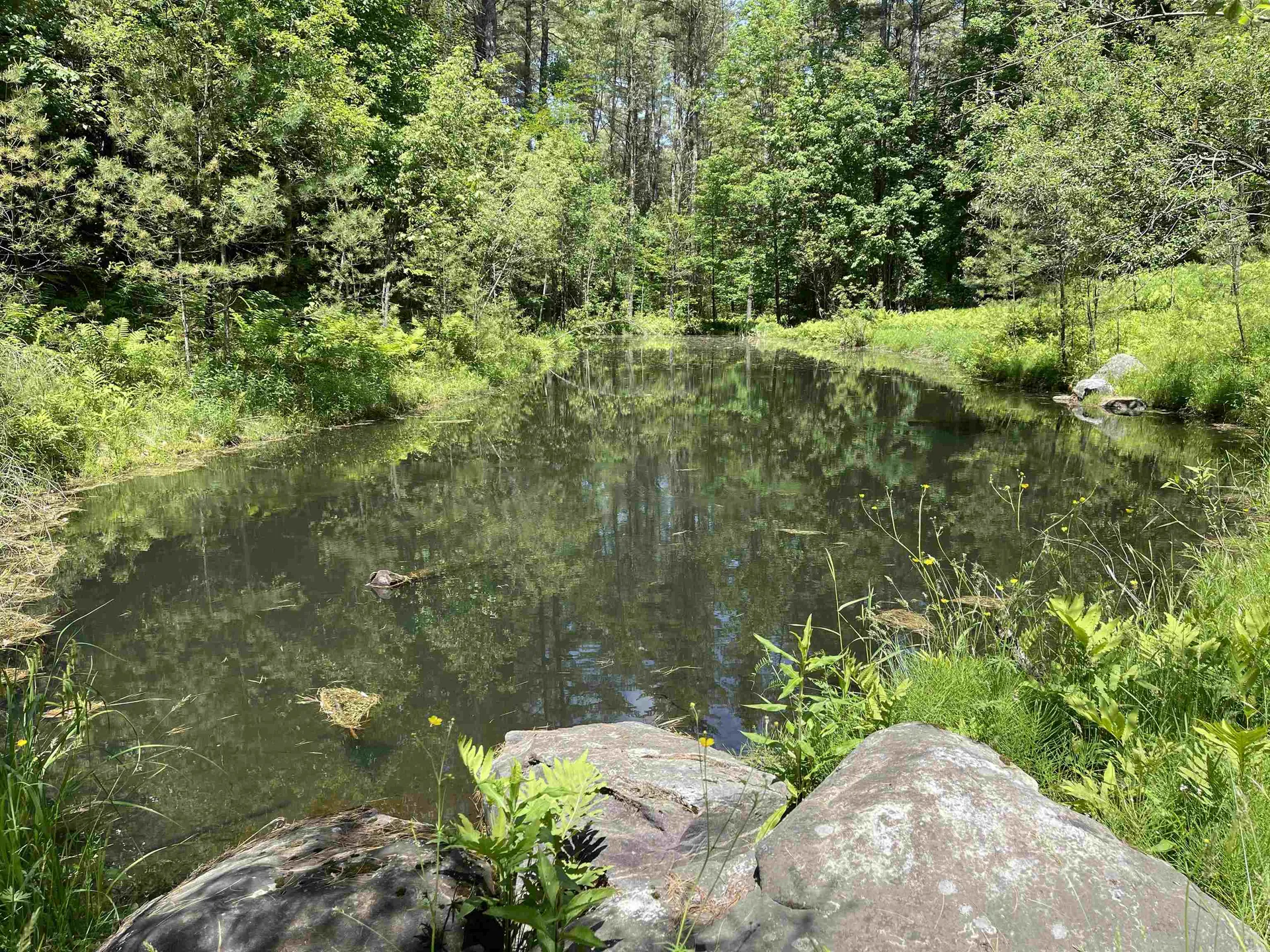 201 Strong Road Waitsfield VT 05673