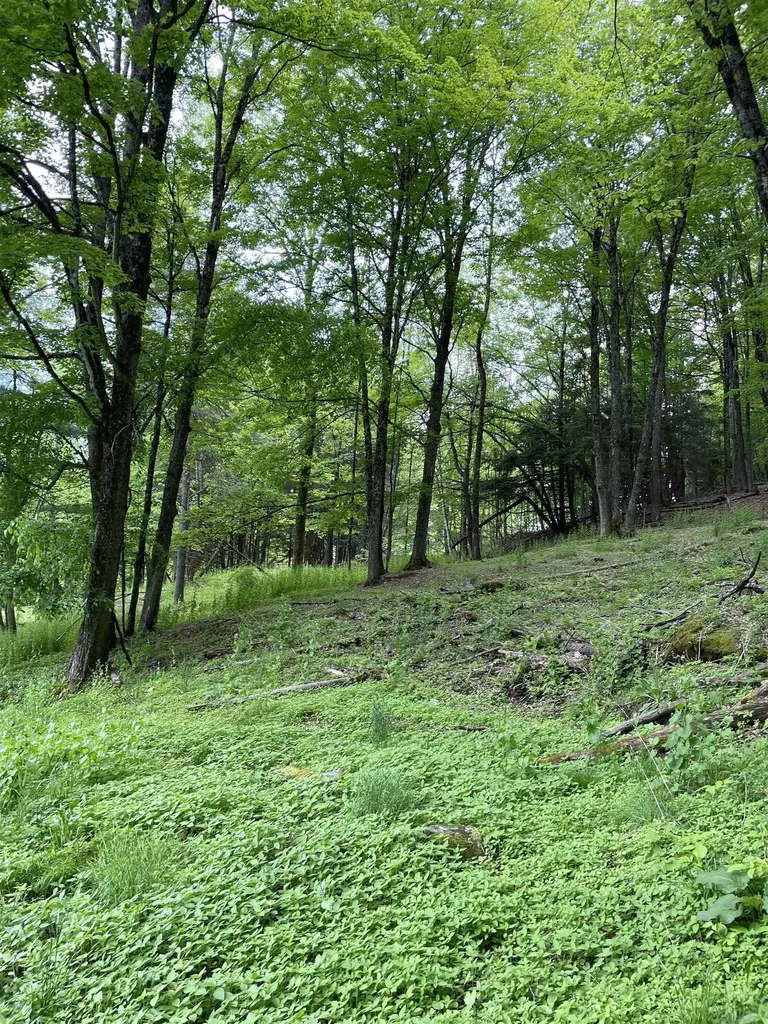 234 Randall Road Woodstock VT 05091