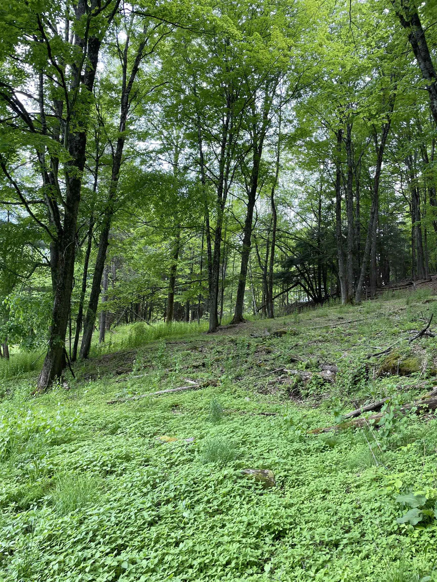 234 Randall Road Woodstock VT 05091